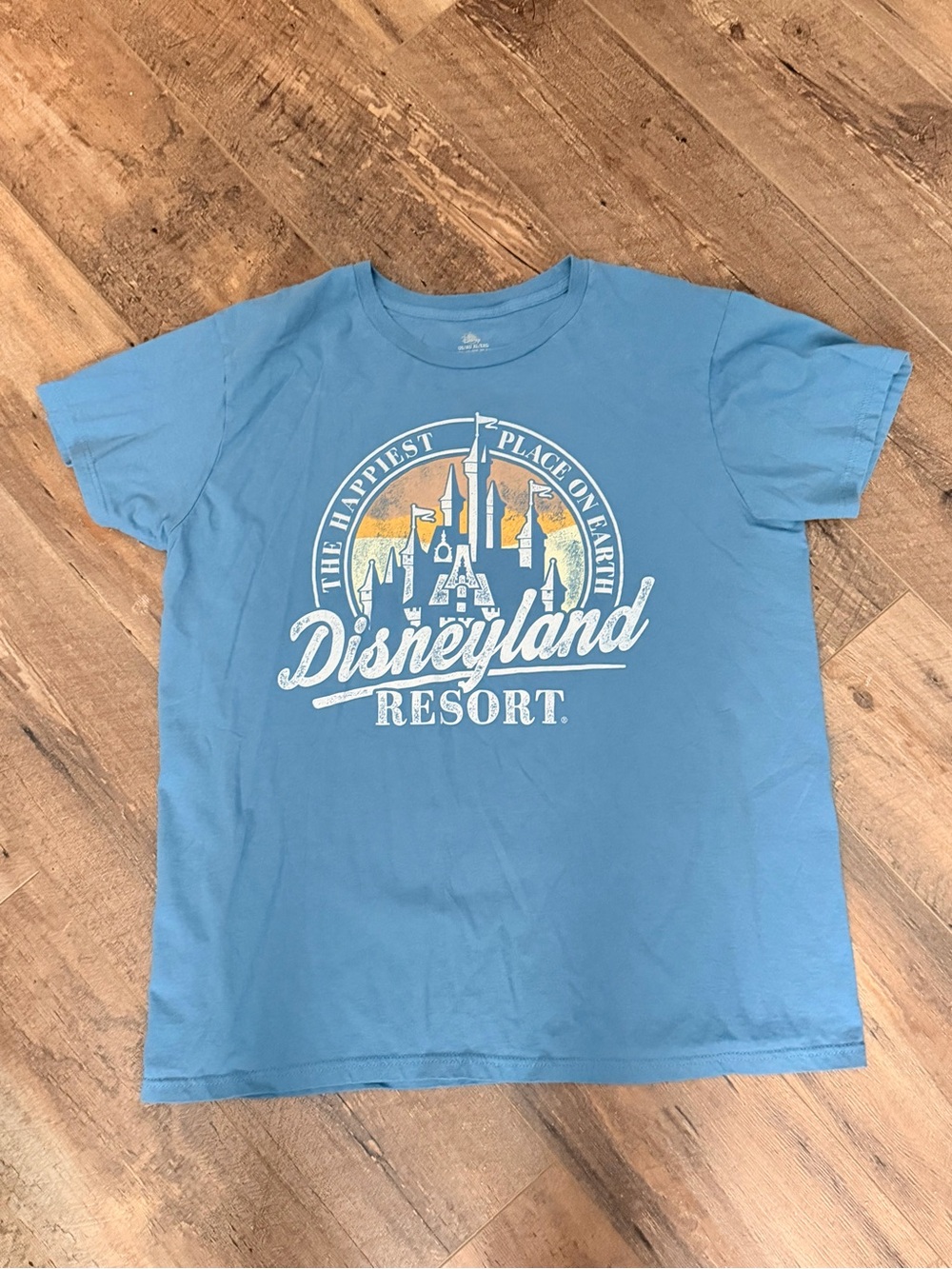 Disney Gray Crewneck Tee with Cream Logo